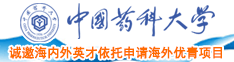 欧美肥妇操b视屏中国药科大学诚邀海内外英才依托申请海外优青项目